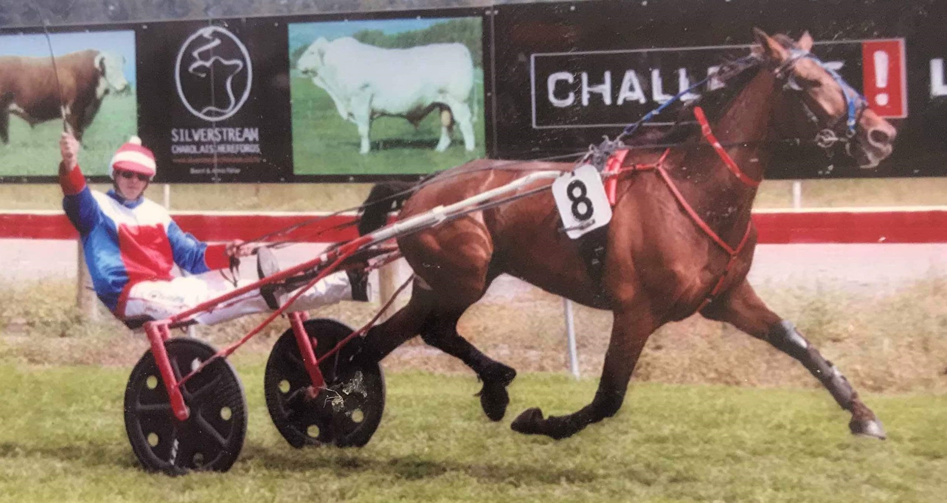 John Dunn wins Akaroa race